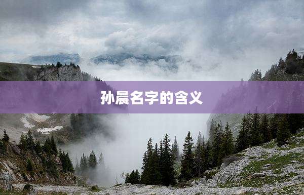 孙晨名字的含义