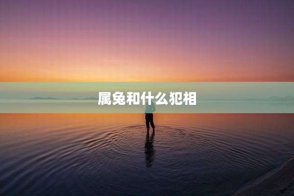 属兔和什么犯相