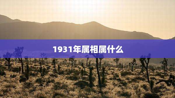 1931年属相属什么