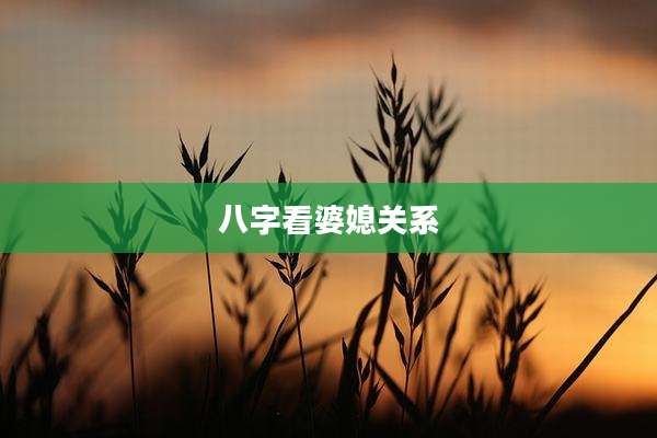 八字看婆媳关系