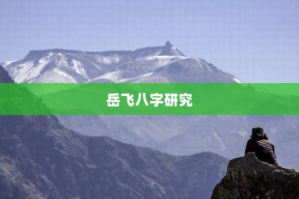 岳飞八字研究