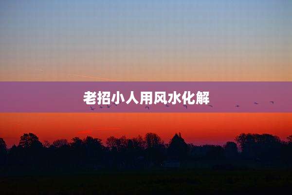 老招小人用风水化解