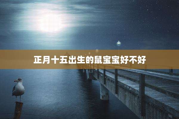 正月十五出生的鼠宝宝好不好