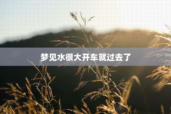 梦见水很大开车就过去了