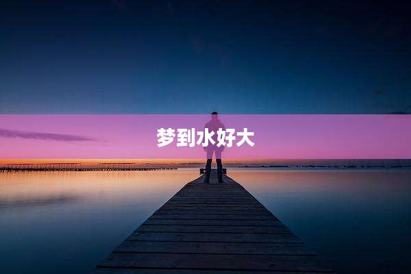 梦到水好大