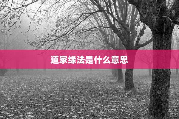 道家缘法是什么意思
