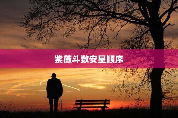 紫薇斗数安星顺序