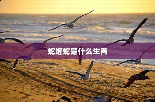 蛇缠蛇是什么生肖