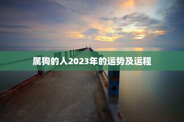 属狗的人2023年的运势及运程