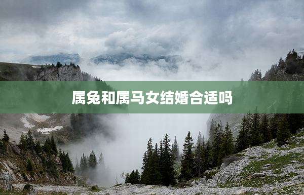 属兔和属马女结婚合适吗