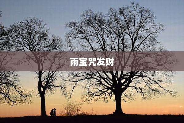 雨宝咒发财