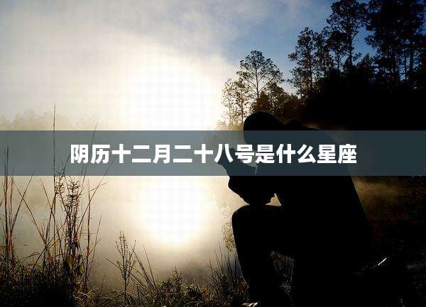 阴历十二月二十八号是什么星座