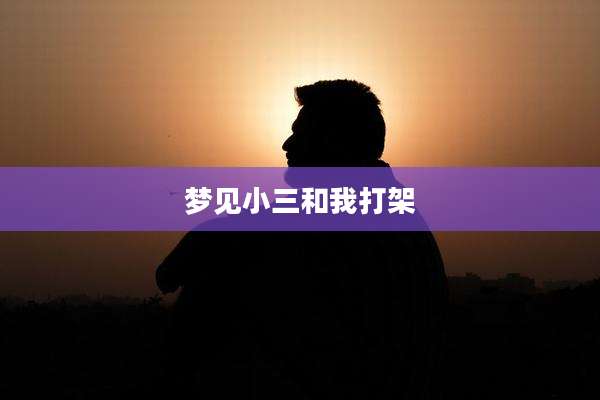 梦见小三和我打架