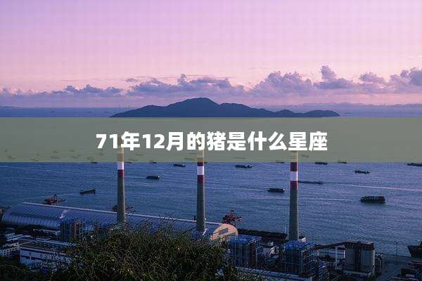 71年12月的猪是什么星座