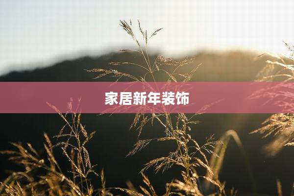 家居新年装饰
