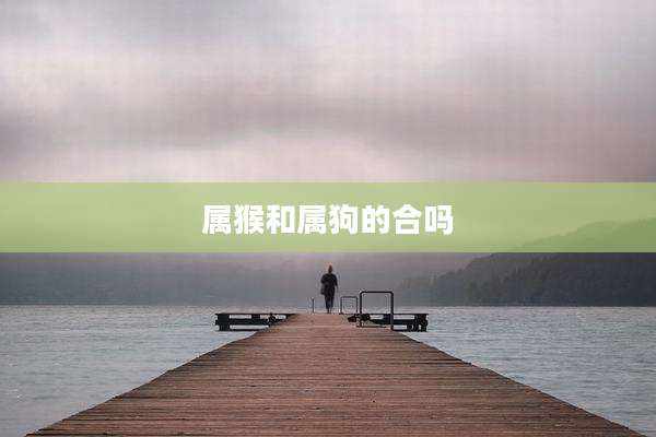 属猴和属狗的合吗