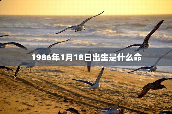 1986年1月18日出生是什么命