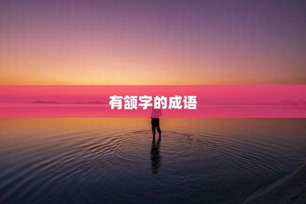 有颔字的成语