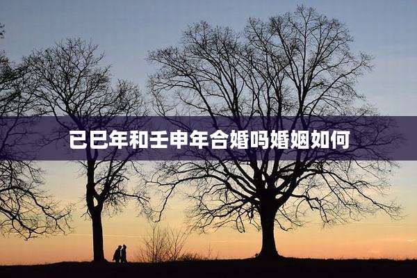 已巳年和壬申年合婚吗婚姻如何