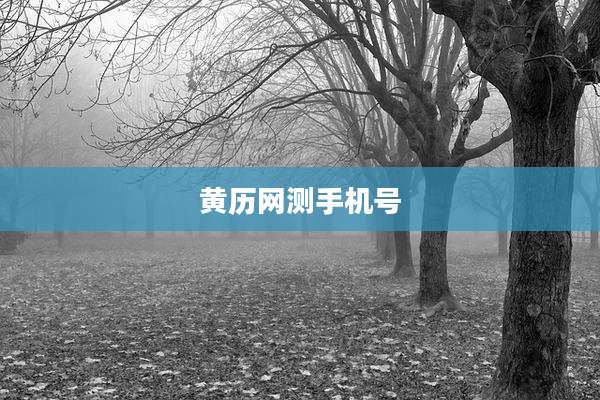 黄历网测手机号