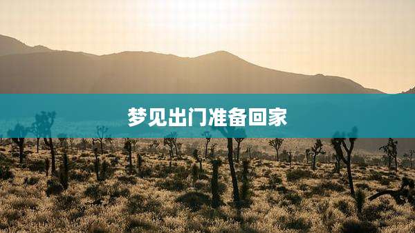 梦见出门准备回家
