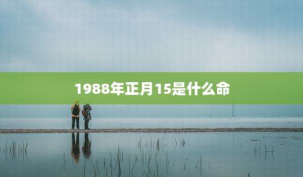 1988年正月15是什么命