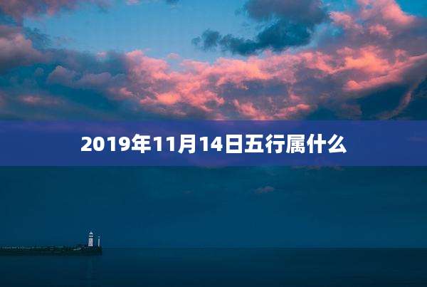 2019年11月14日五行属什么