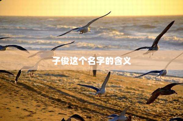 子俊这个名字的含义