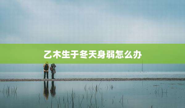 乙木生于冬天身弱怎么办