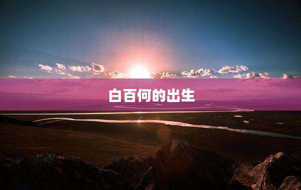 白百何的出生