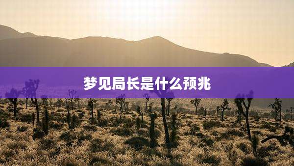 梦见局长是什么预兆