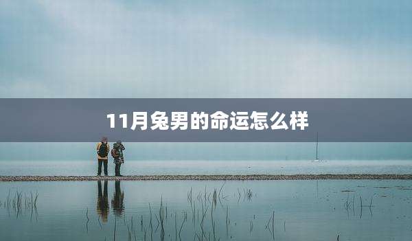 11月兔男的命运怎么样