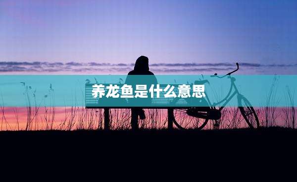 养龙鱼是什么意思