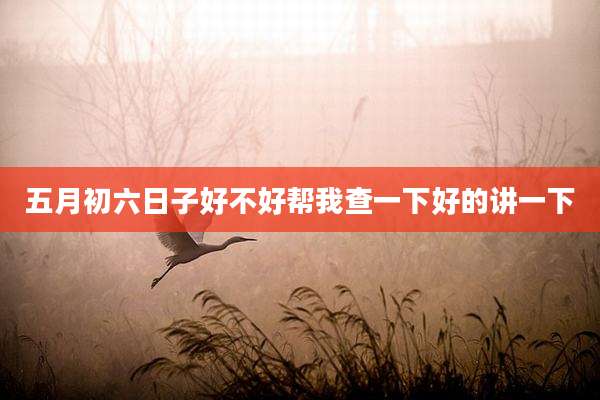 五月初六日子好不好帮我查一下好的讲一下