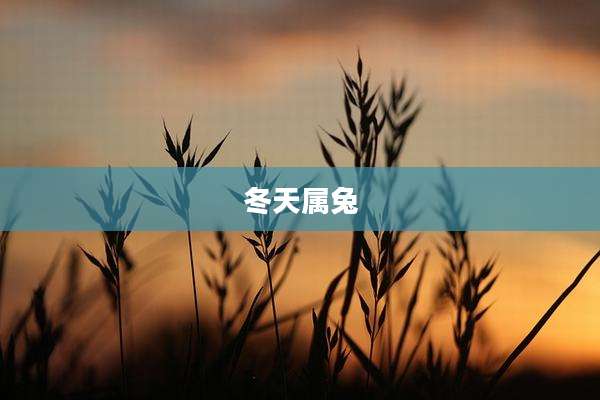 冬天属兔