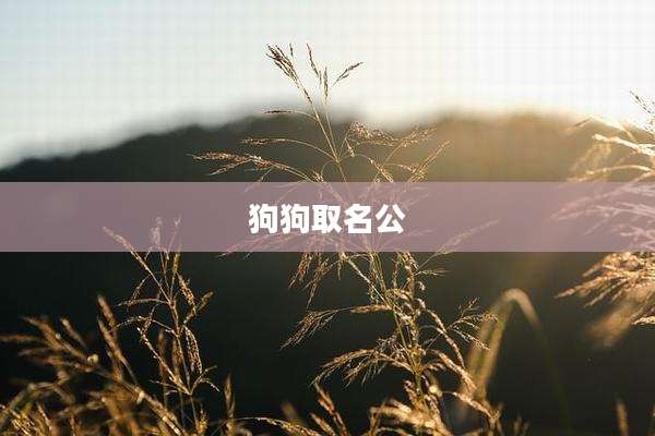 狗狗取名公