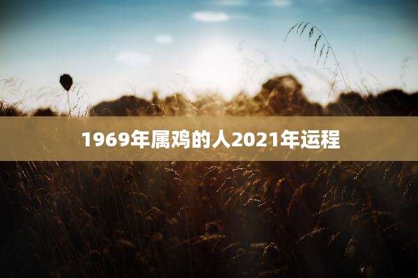 1969年属鸡的人2021年运程