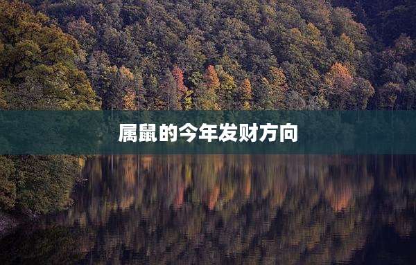 属鼠的今年发财方向