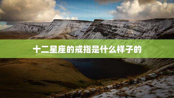 十二星座的戒指是什么样子的