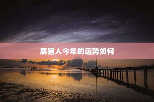 属猪人今年的运势如何