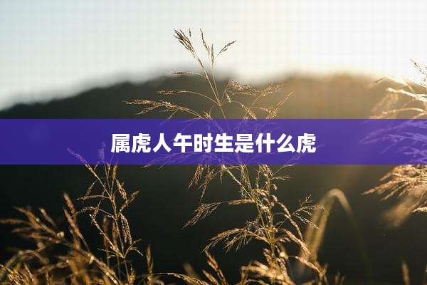 属虎人午时生是什么虎