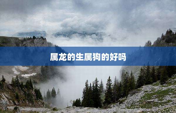 属龙的生属狗的好吗