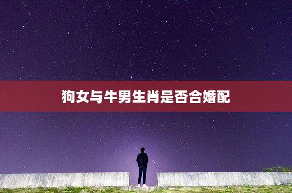 狗女与牛男生肖是否合婚配