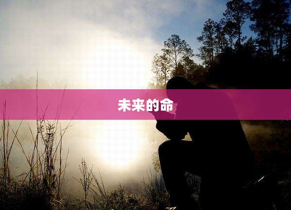 未来的命