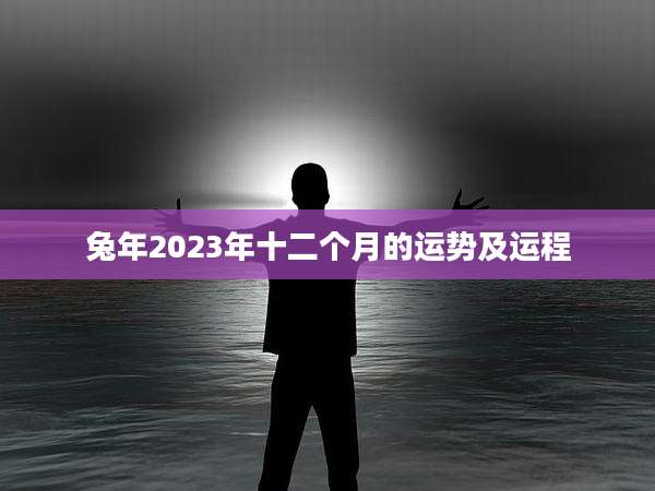 兔年2023年十二个月的运势及运程