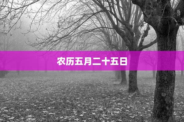 农历五月二十五日