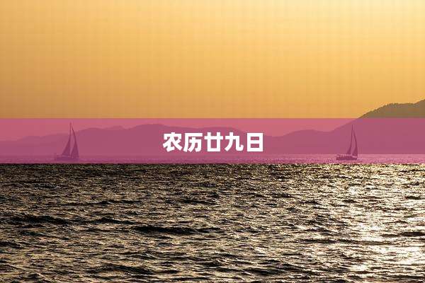 农历廿九日