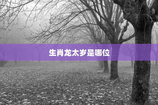 生肖龙太岁是哪位
