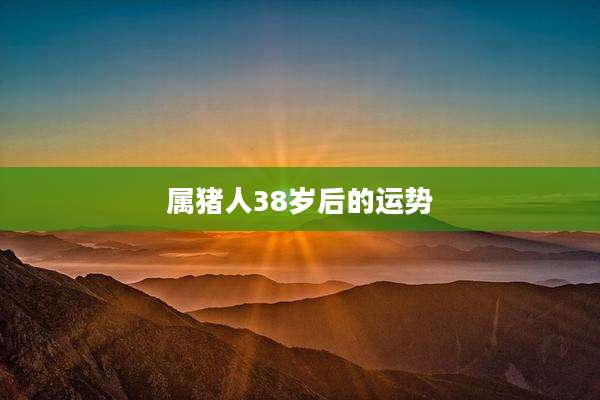 属猪人38岁后的运势