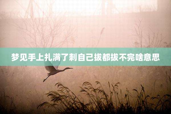 梦见手上扎满了刺自己拔都拔不完啥意思